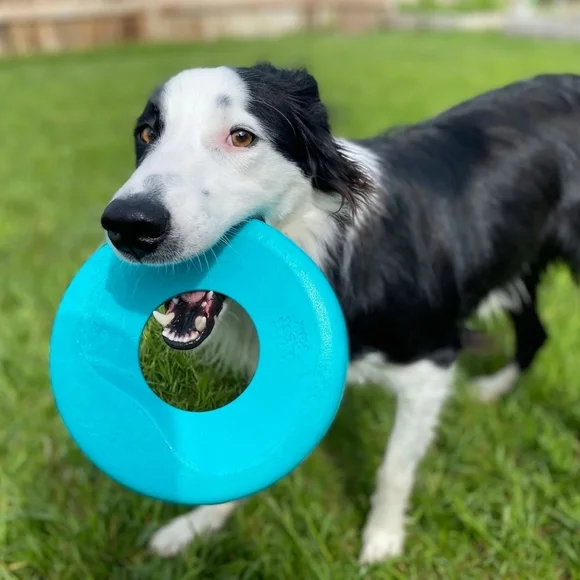 West Paw DOG Toys - Picture 8 of 8